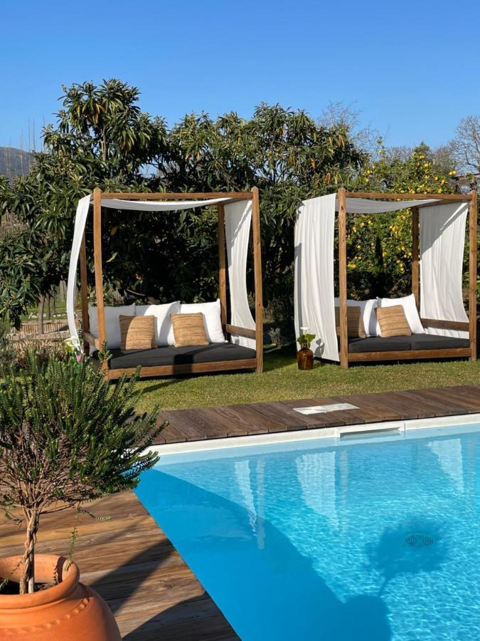 Villa D'Aurora Country Suites Ponte de Lima Dış mekan fotoğraf