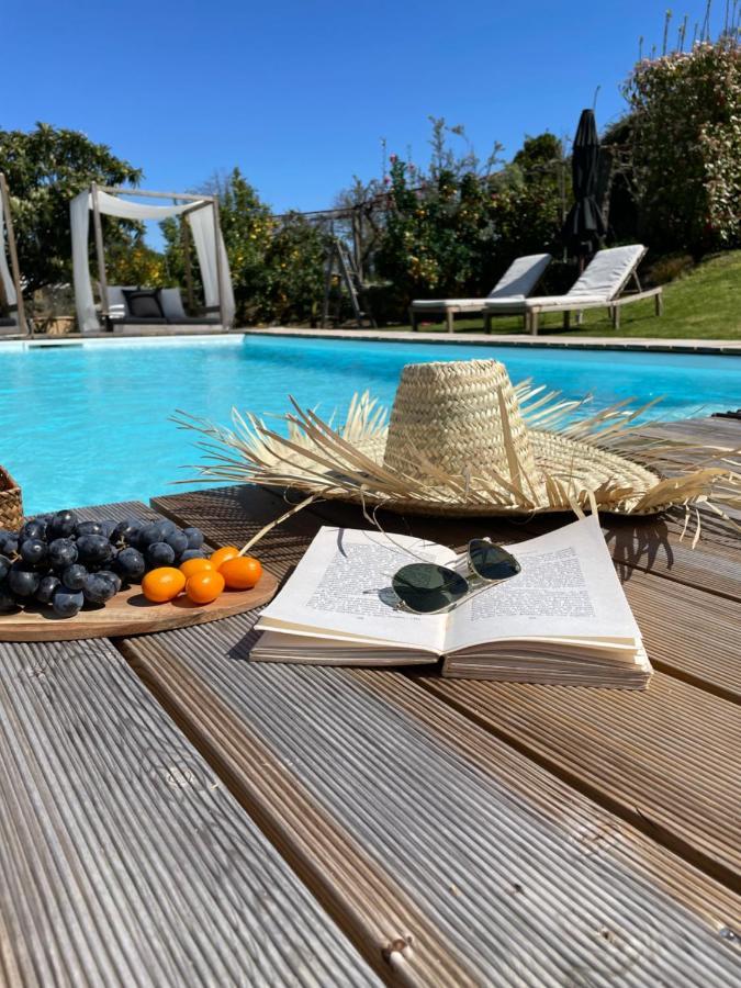 Villa D'Aurora Country Suites Ponte de Lima Dış mekan fotoğraf